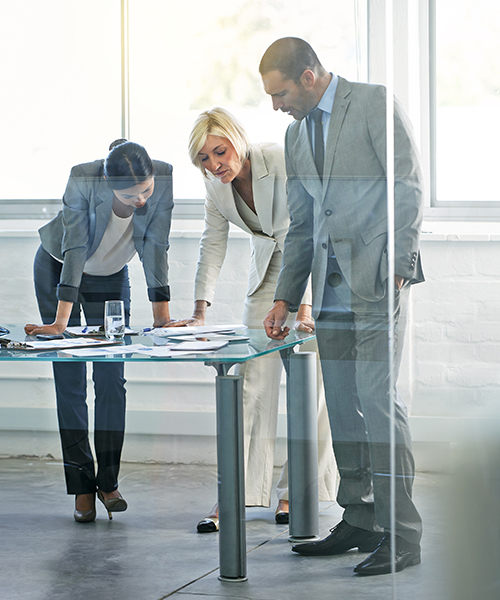 project-management-services